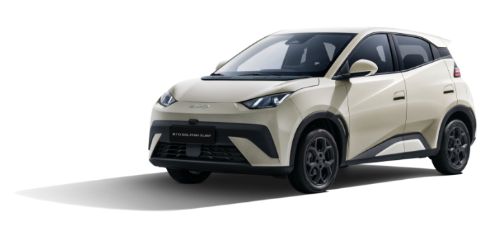 Version - BYD DOLPHIN SURF Comfort